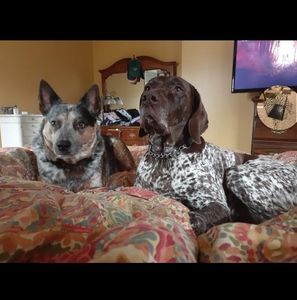 Meet your Posher, Peggy